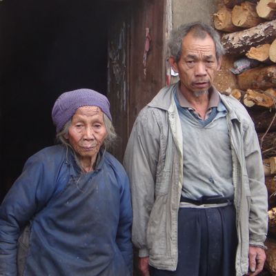 英国上市公司365