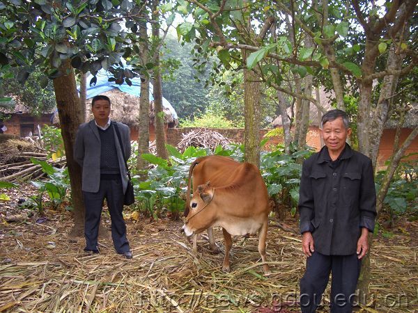 英国上市公司365