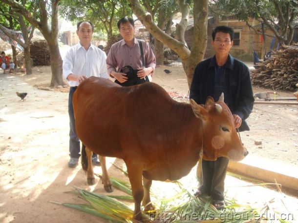 英国上市公司365