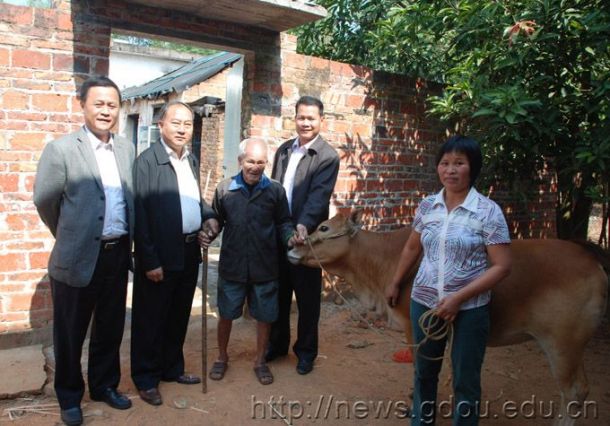 英国上市公司365