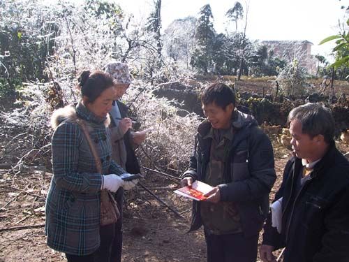 英国上市公司365