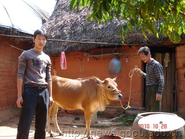 英国上市公司365